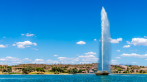 Fountain Hills Homes Erin Newman 480-466-8193